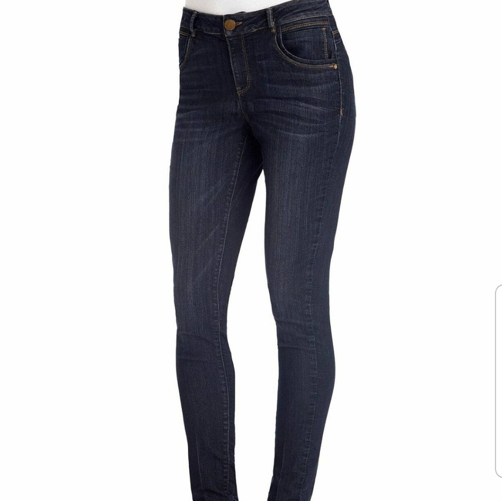 Dark Indigo Democracy Jeggings, Size 4